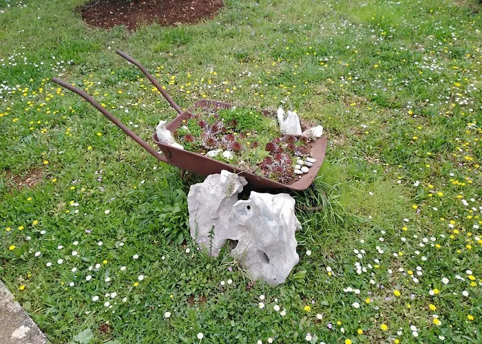 Tiziana Apartmán Zadar