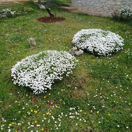 Lägenhet Tiziana Zadar