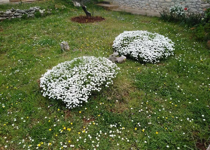 Lägenhet Tiziana Zadar